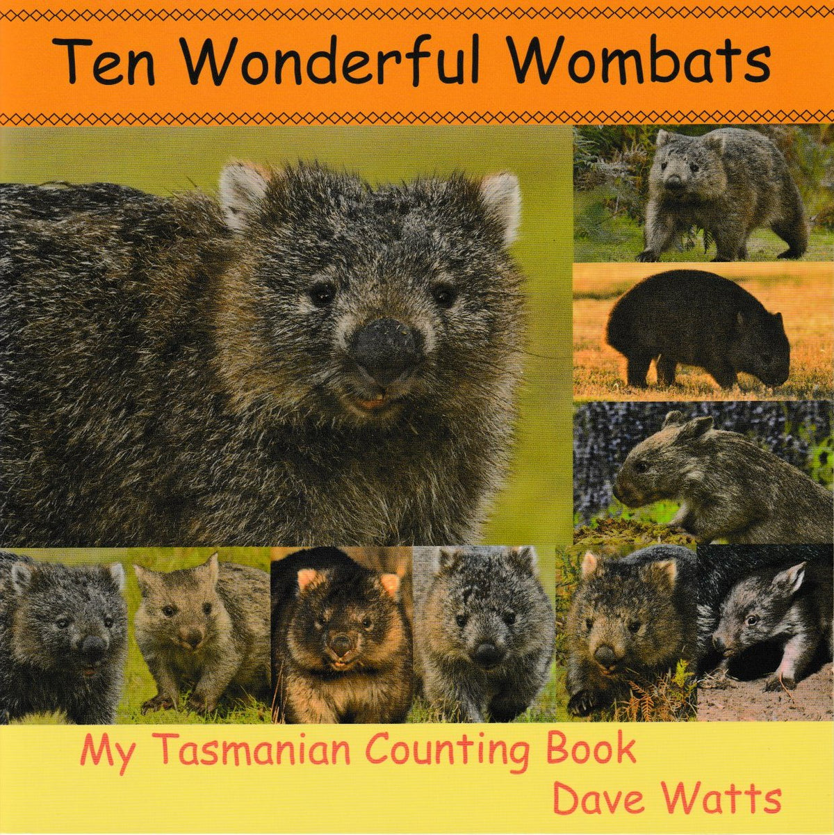 Ten Wonderful Wombats  My Tasmanian Counting Book