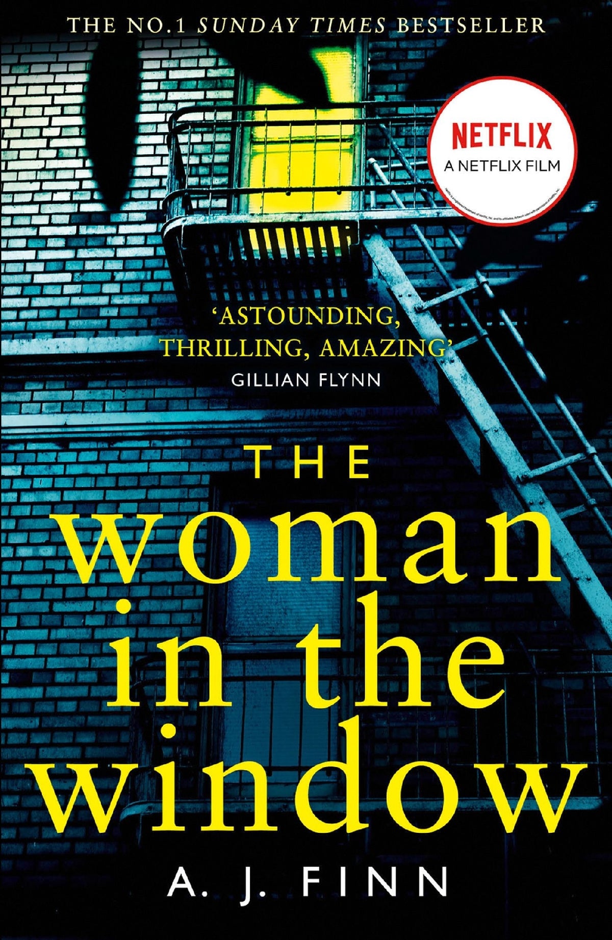 The Woman In The Window