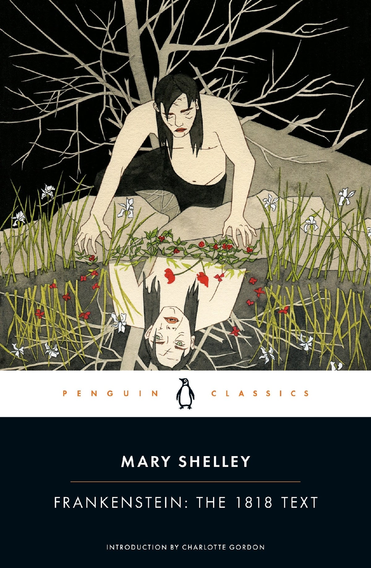 Frankenstein (Penguin Black Classics) 2