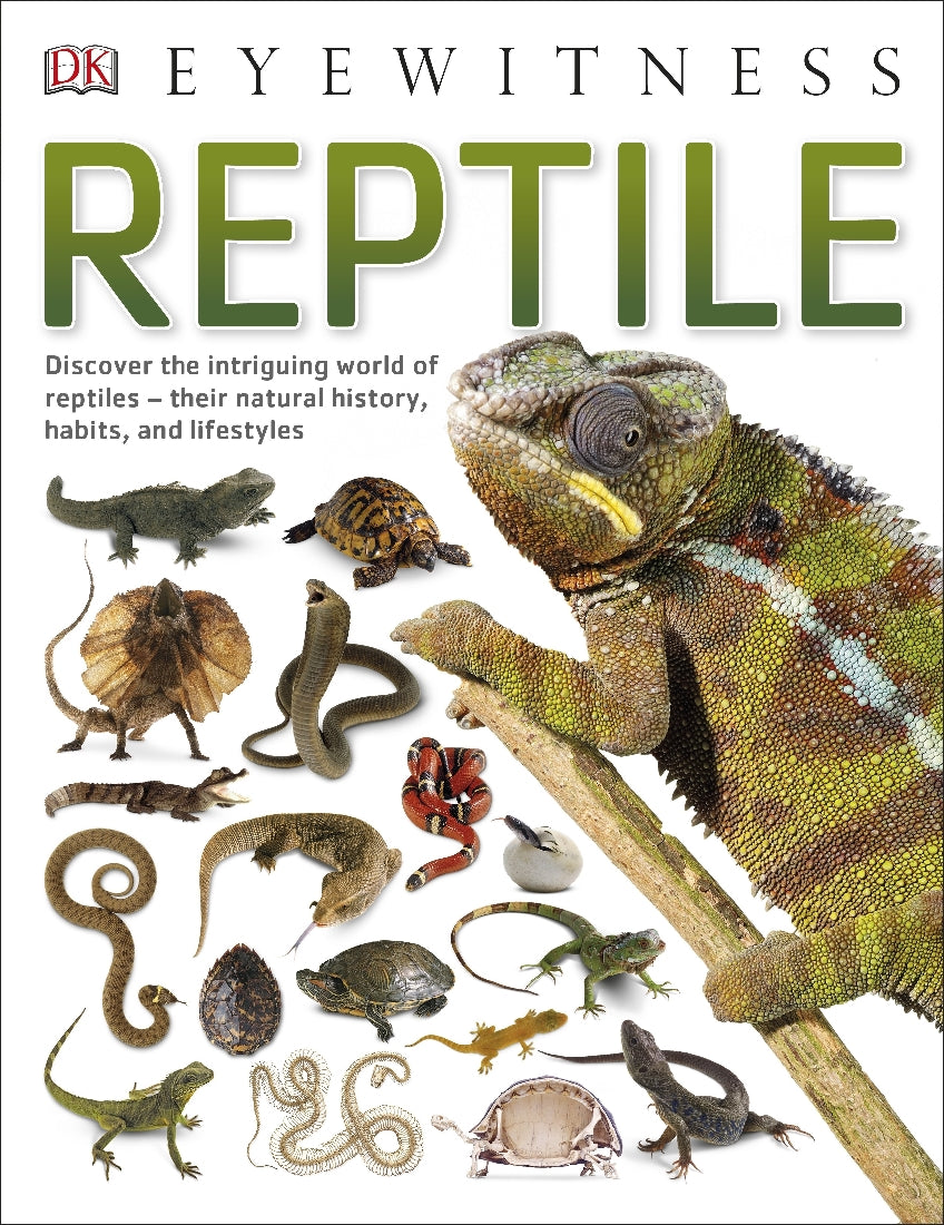 Reptile