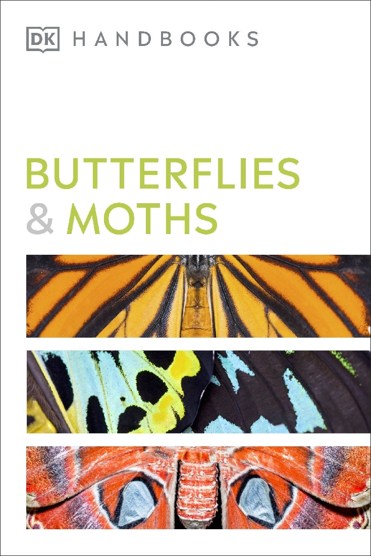 Butterflies and Moths