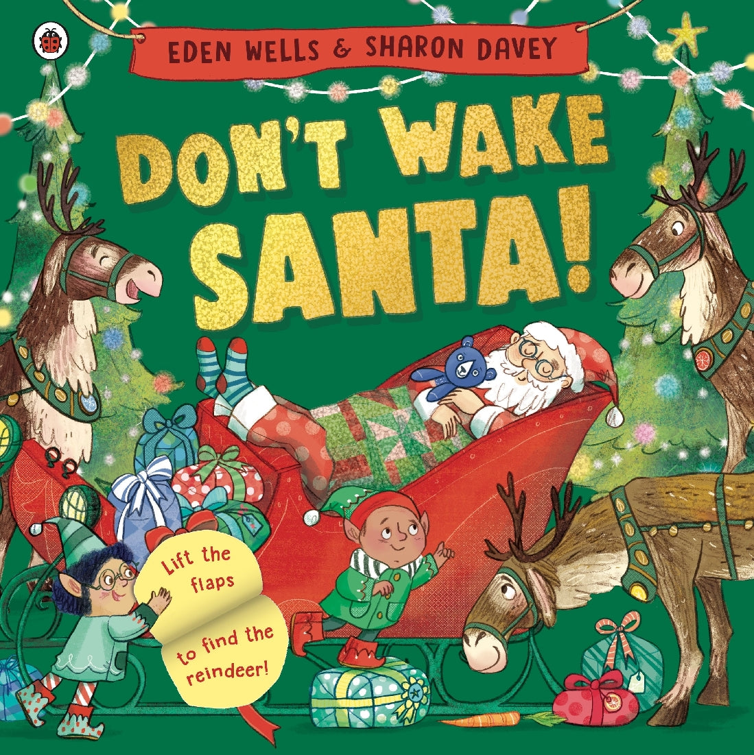 Don't Wake Santa: A Lift the Flap Christmas Book