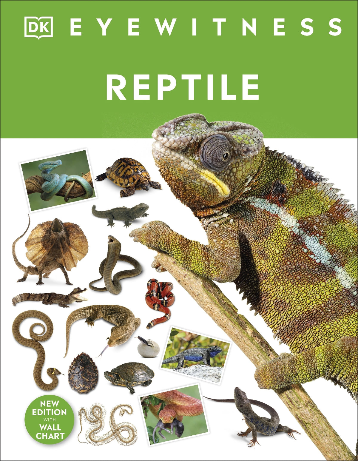 Reptile (DK Eyewitness)