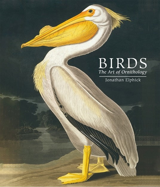 Birds: The Art of Ornithology