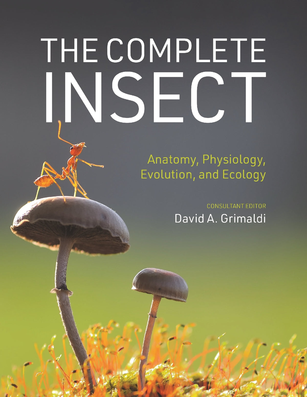 The Complete Insect