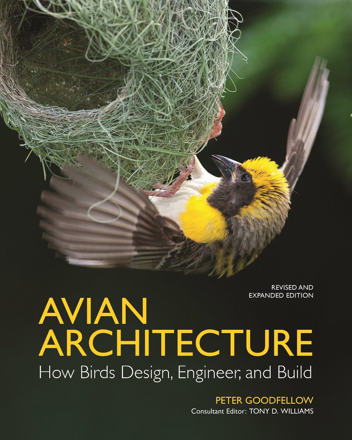 Avian Architecture