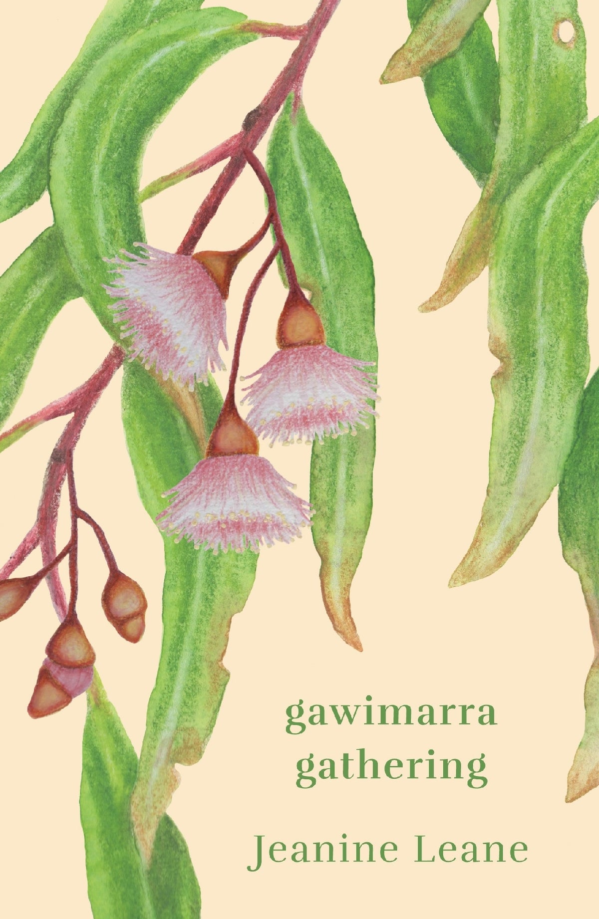 Gawimarra