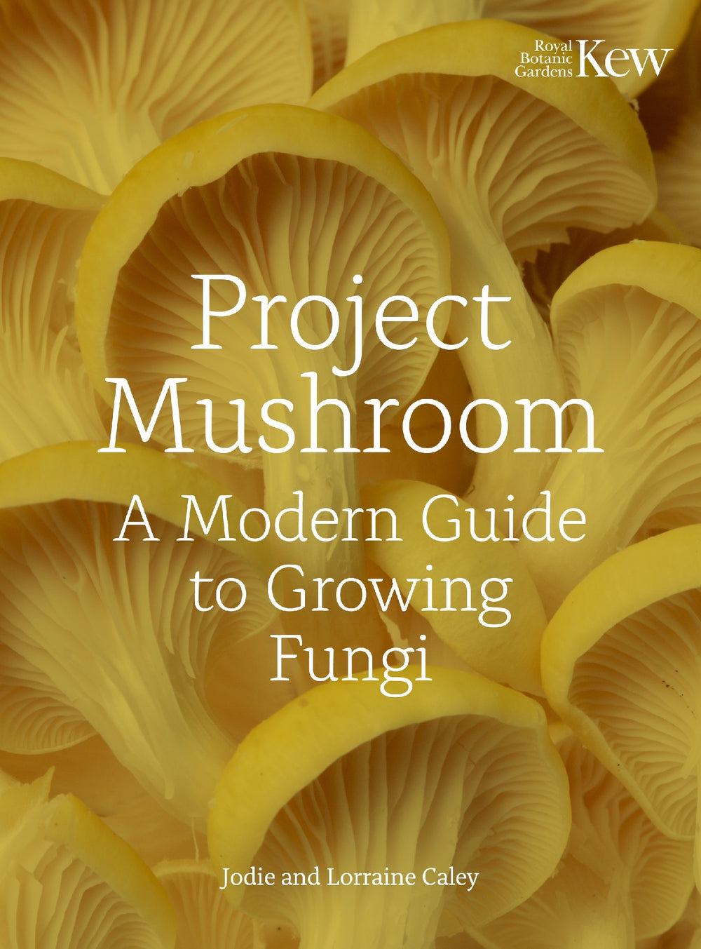 Project Mushroom:  A Modern Guide to Growing Fungi