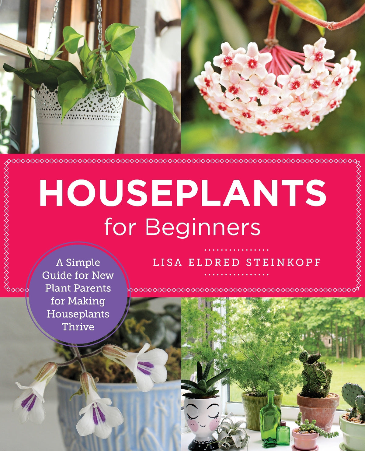 Houseplants for Beginners