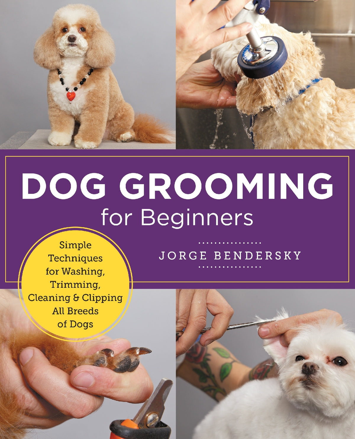 Dog Grooming for Beginners