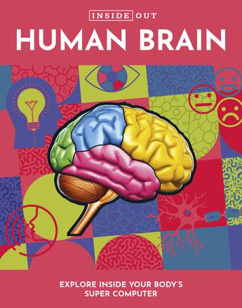 Human Brain (Inside Out)