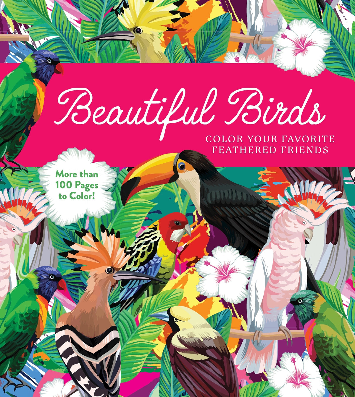 Beautiful Birds Coloring Book