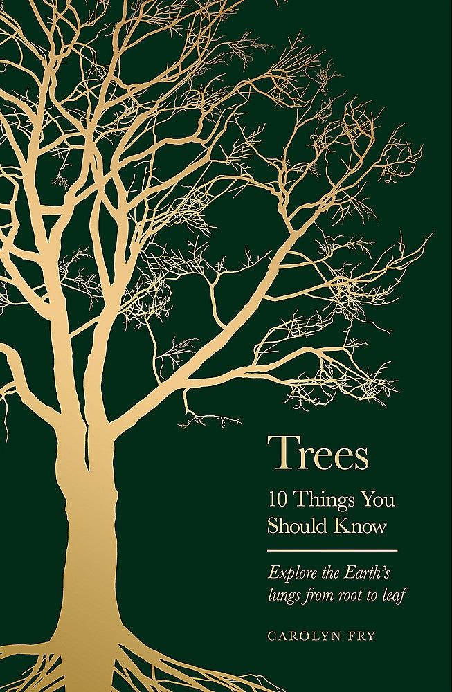 Trees: 10 Things You Should Know