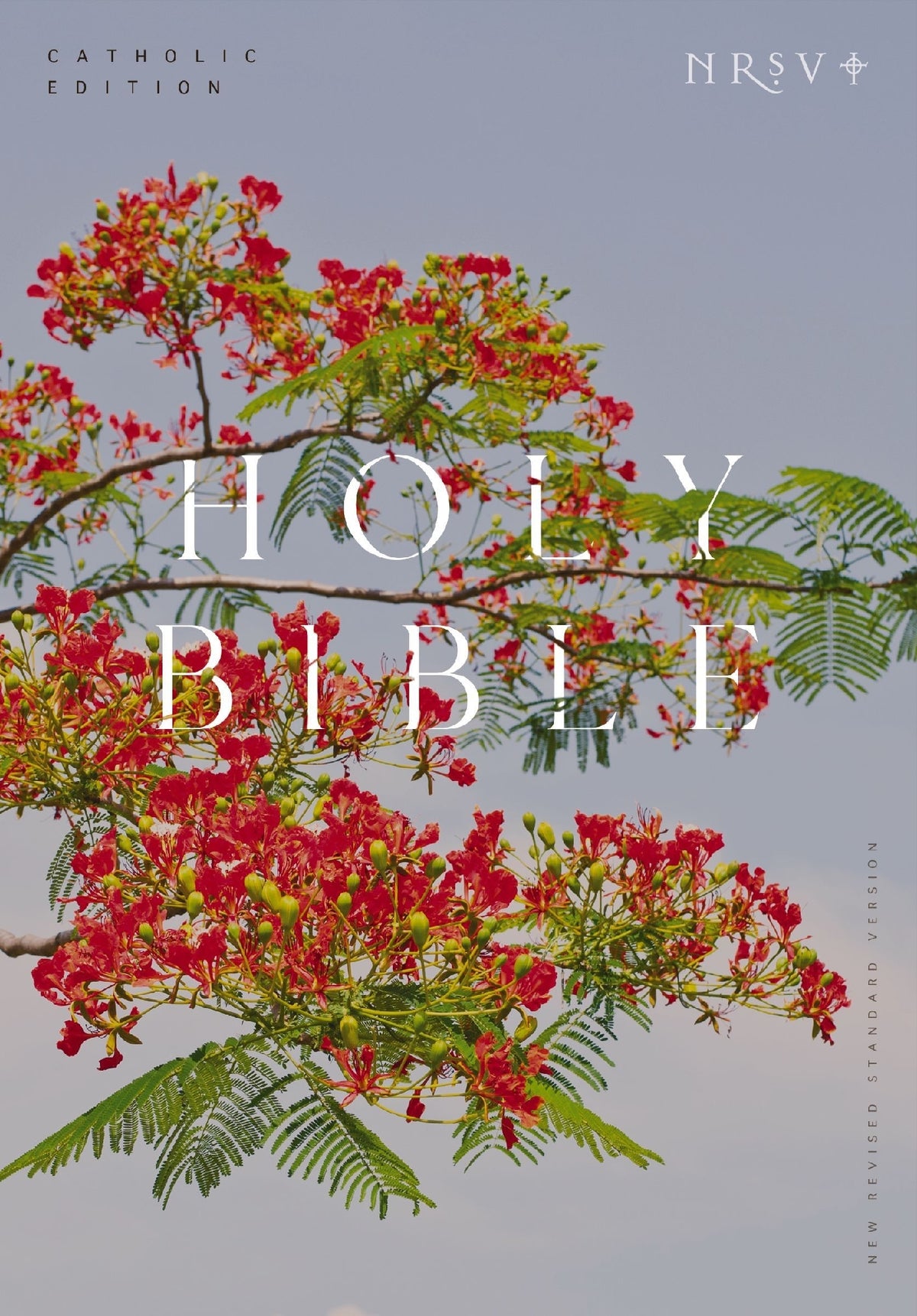 NRSV Holy Bible (Catholic Edition)