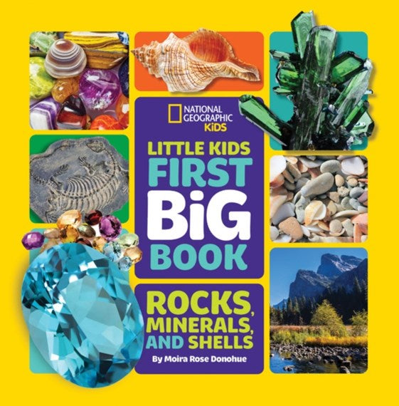 Little Kids First Big Book of Rocks, Minerals and Shells