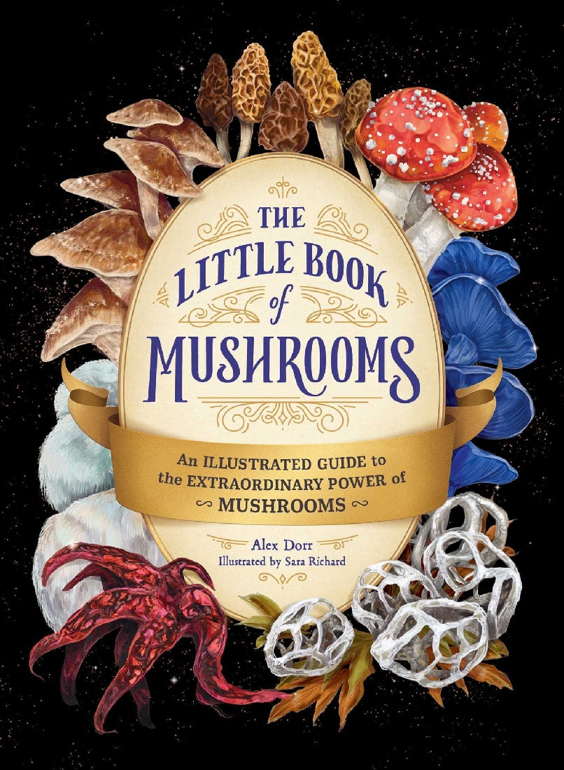 The Little Book of Mushrooms 2