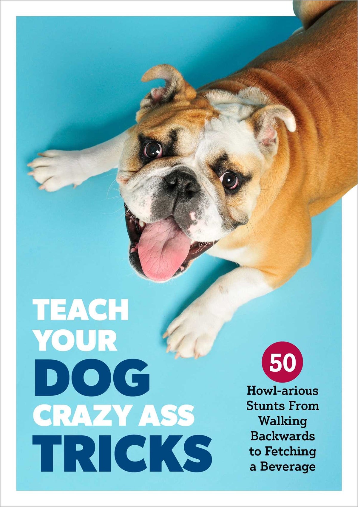 Teach Your Dog Crazy Ass Tricks: 50 Howl-arious Stunts From Walking Backwards to Fetching a Beverage