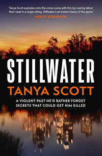 Load image into Gallery viewer, Stillwater cover image
