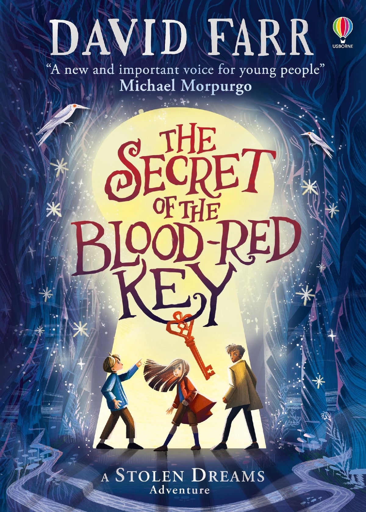 The Stolen Dreams Adventure #2: The Secret of the Blood-Red Key