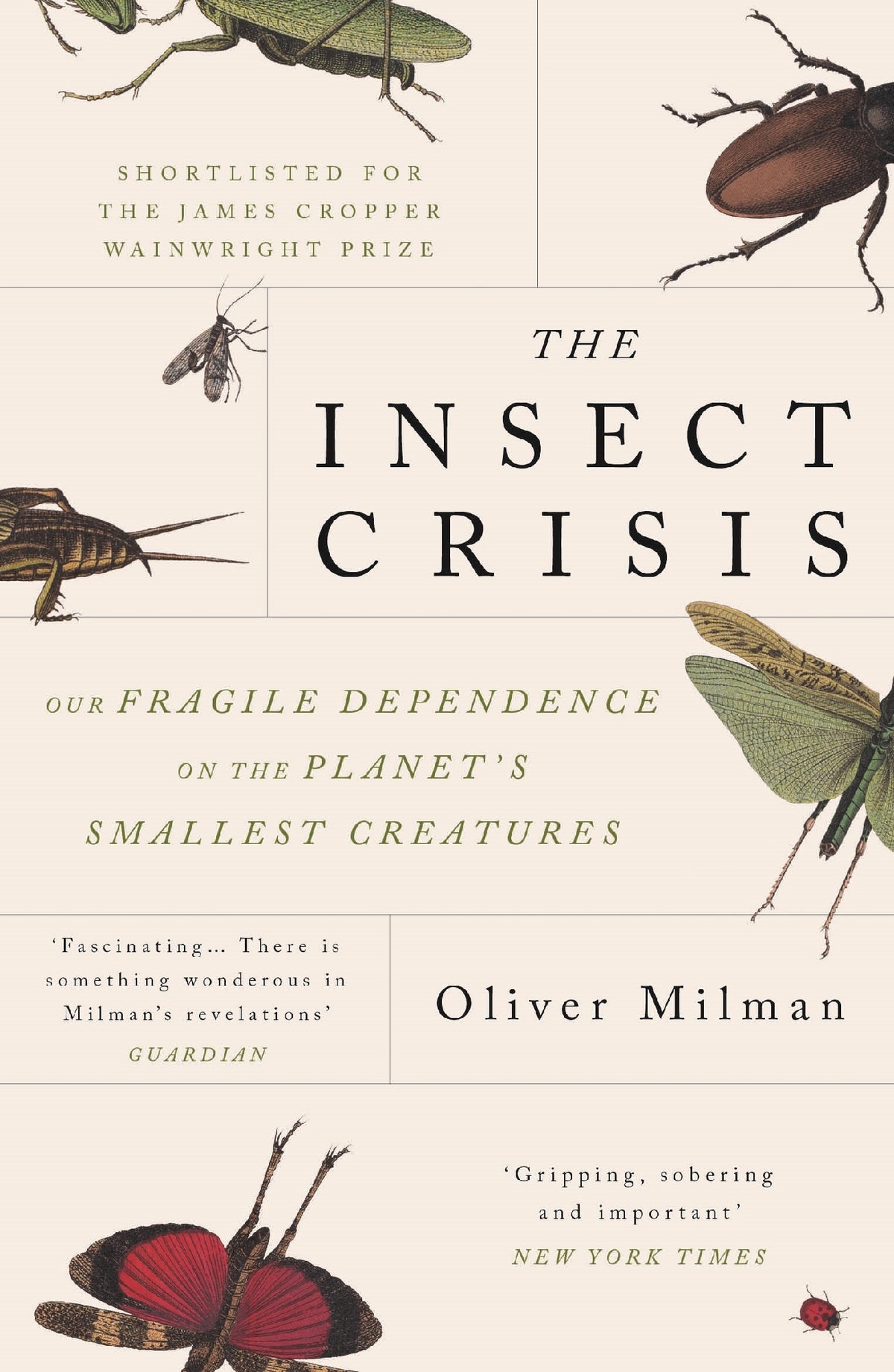 The Insect Crisis 2