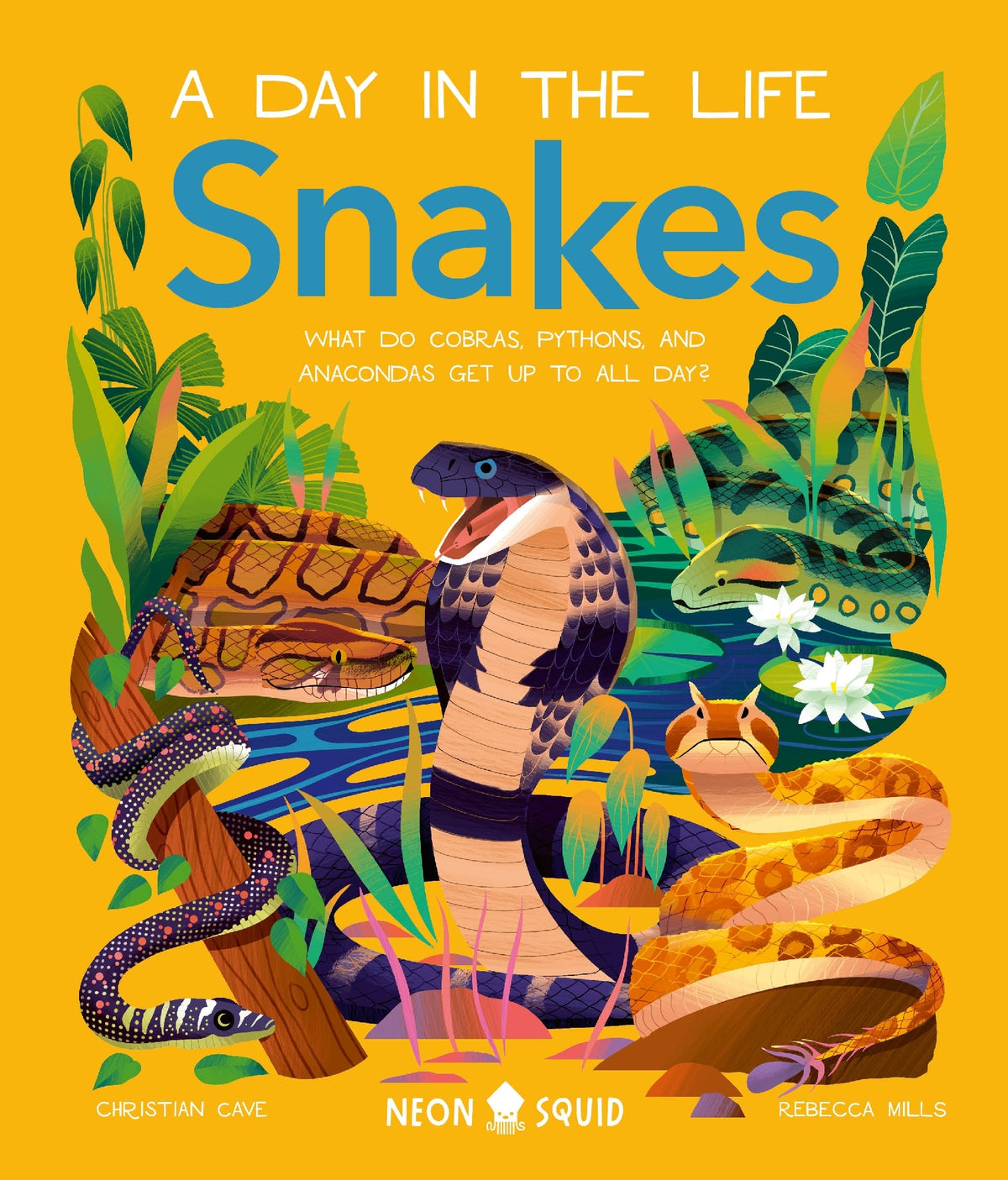 Snakes (A Day In The Life)