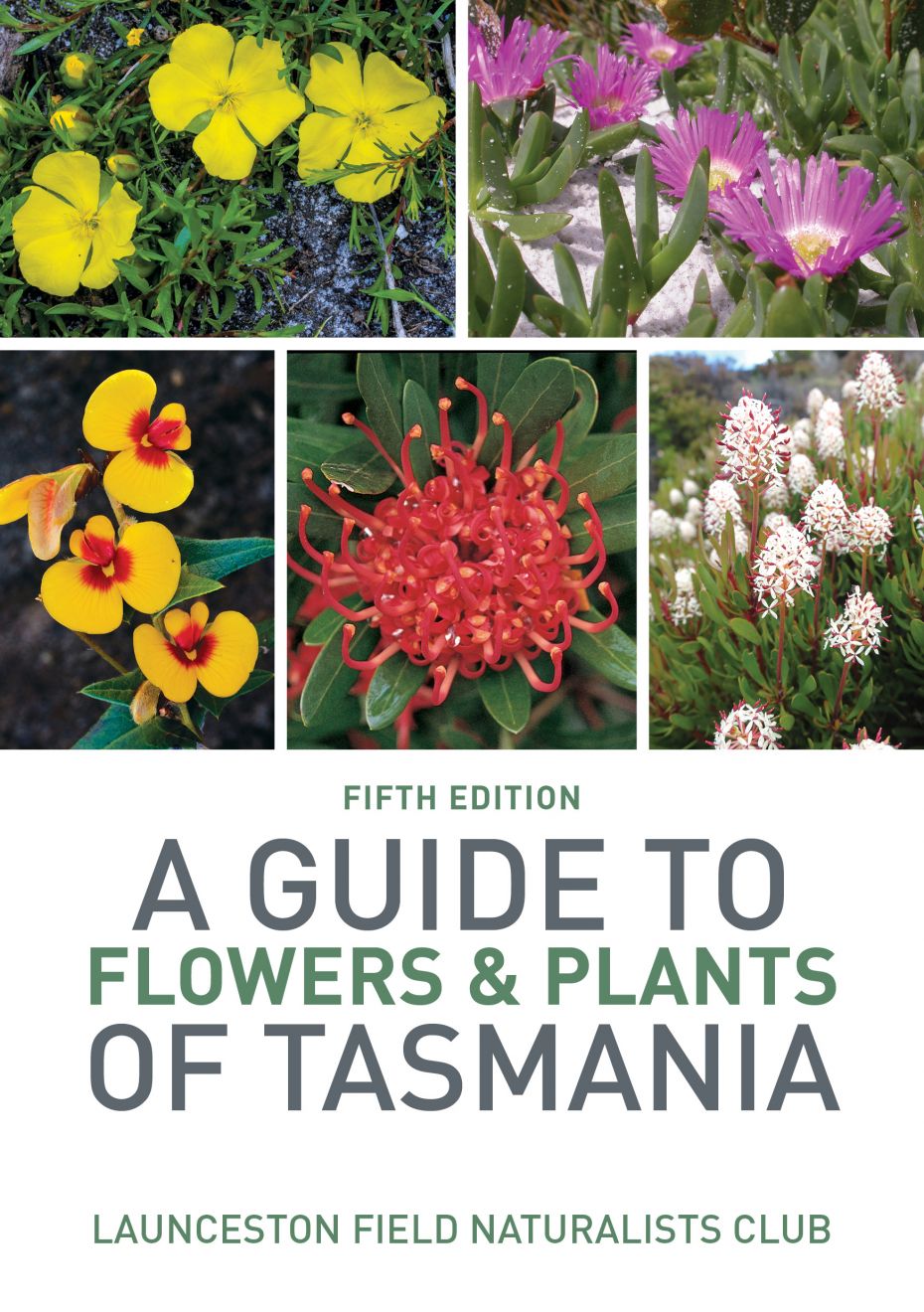 A Guide to Flowers Plants of Tasmania