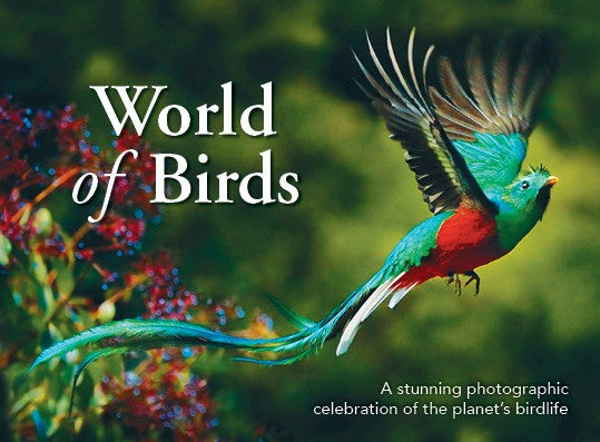 World of Birds