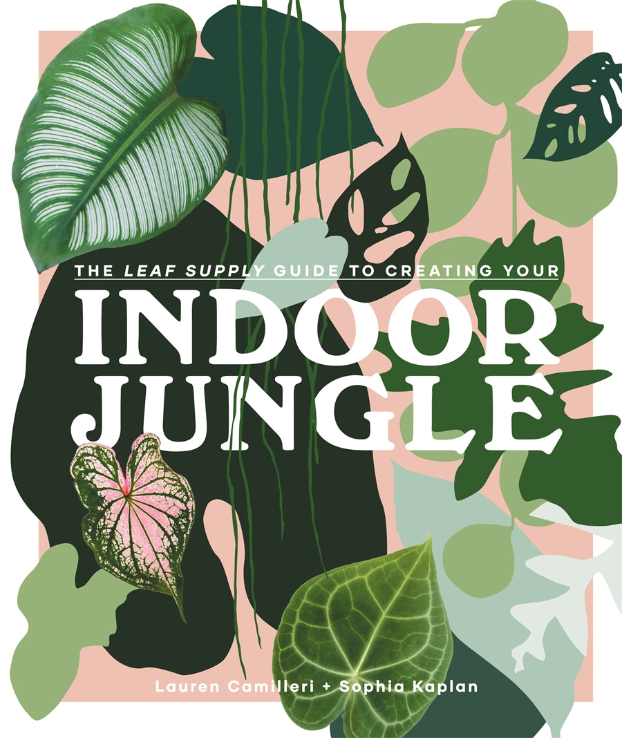 The Leaf Supply Guide to Creating Your Indoor Jungle