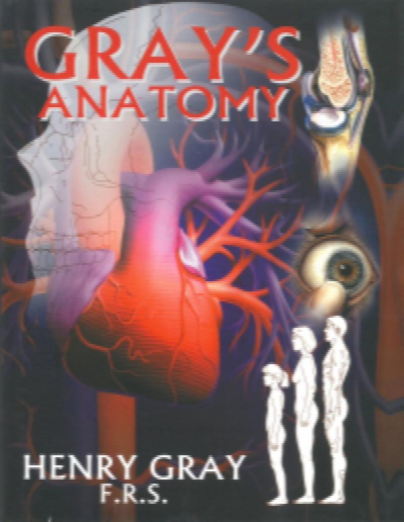 Gray's Anatomy by Henry Gray