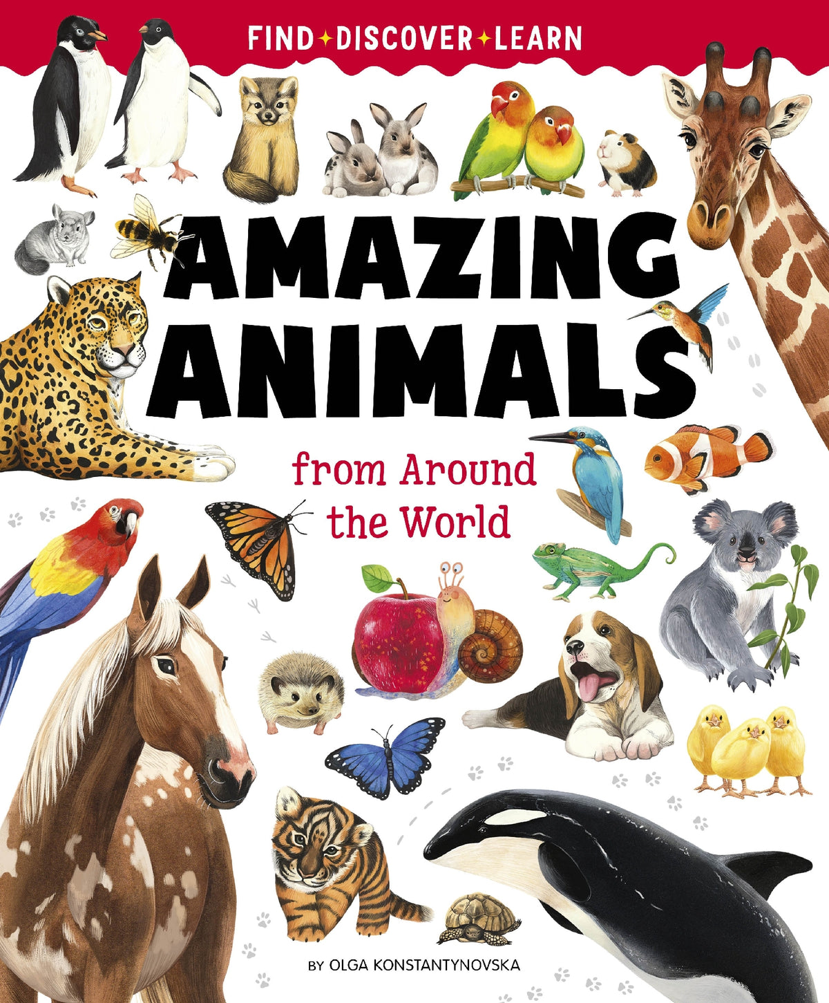 Big Book of Amazing Animals