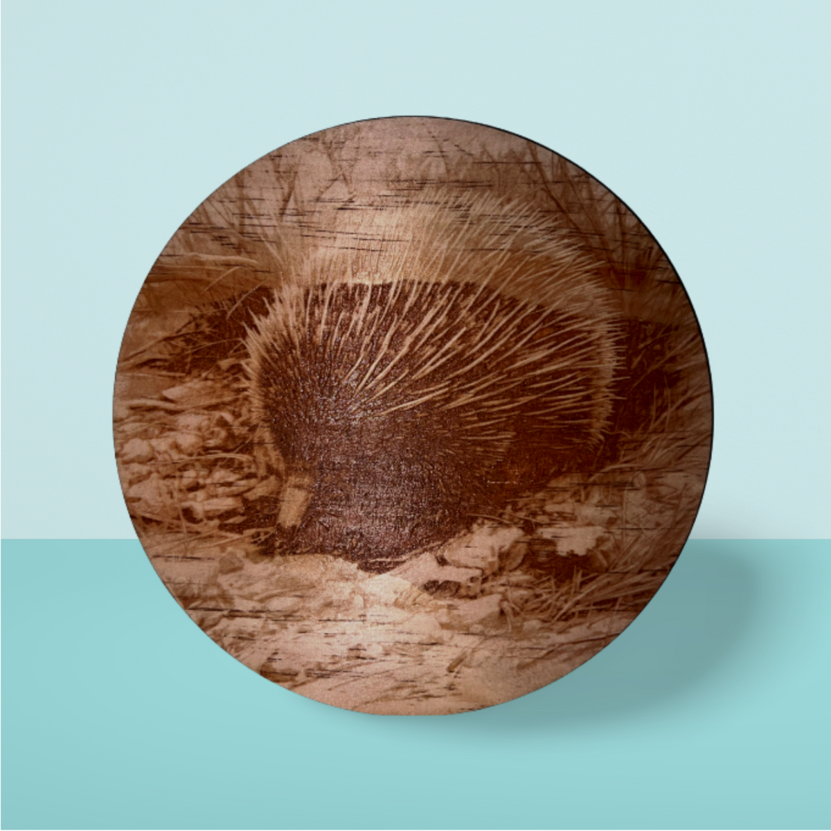 Wooden Round:  Echidna (20cm)