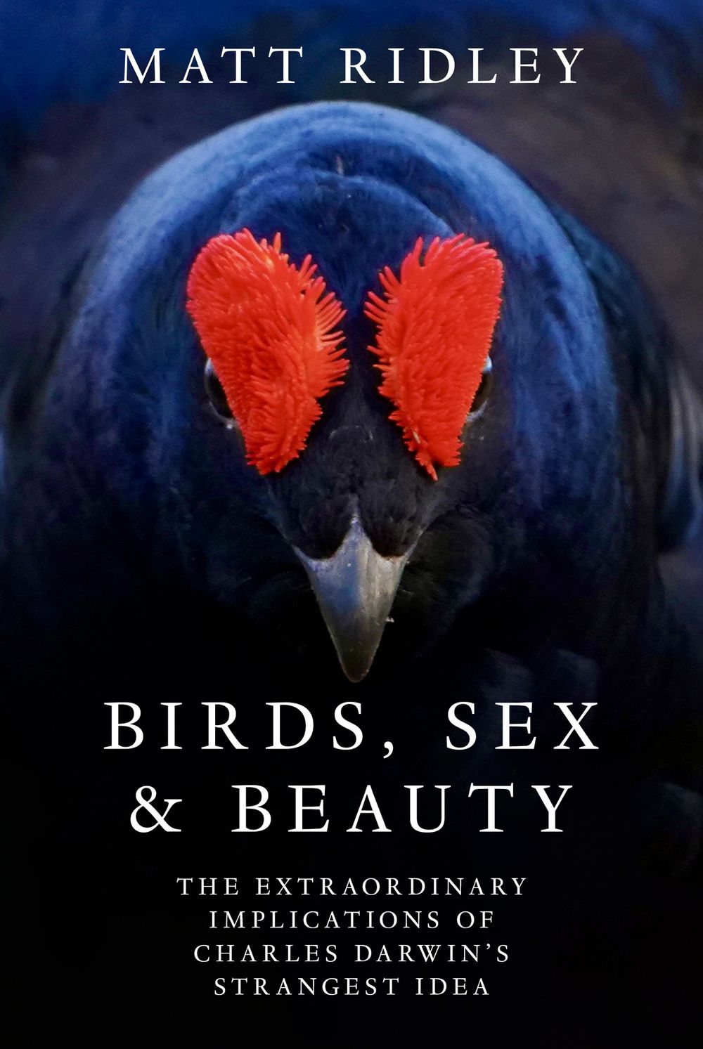 Birds, Sex and Beauty: The extraordinary implications of Charles Darwin's strangest idea