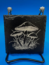 Load image into Gallery viewer, Square Slate Coaster: Mushroom (assorted)
