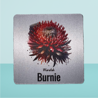 Load image into Gallery viewer, Burnie Coasters (neoprene) - assorted
