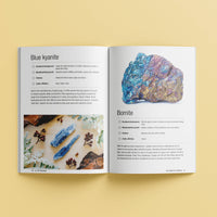 Load image into Gallery viewer, Elevate: The Power of Crystals Kit
