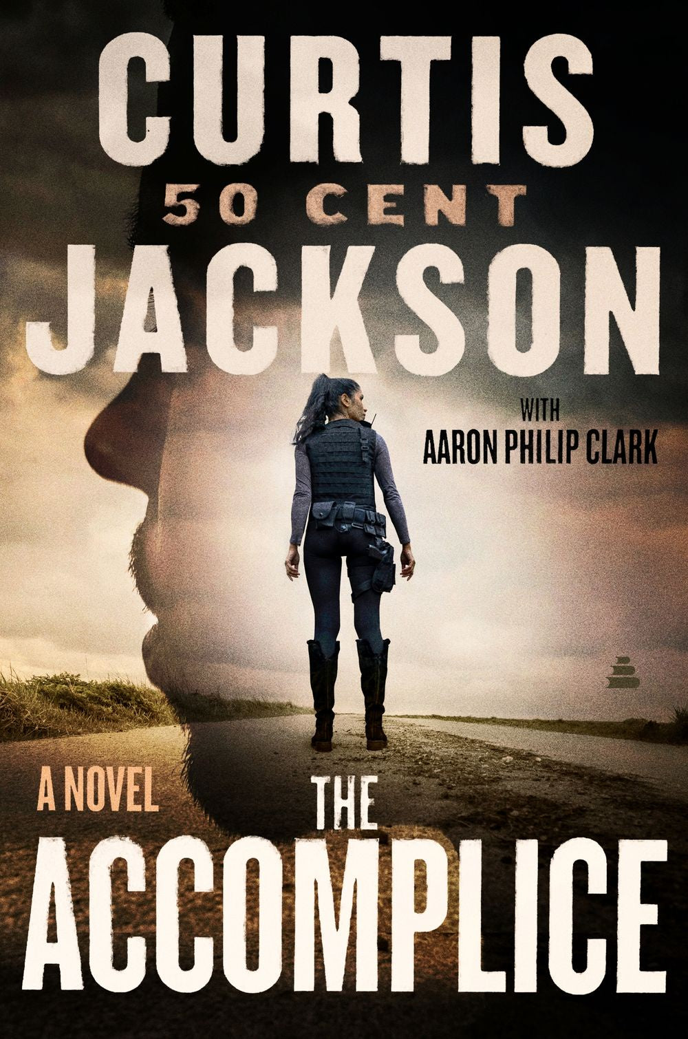 The Accomplice:  A Novel