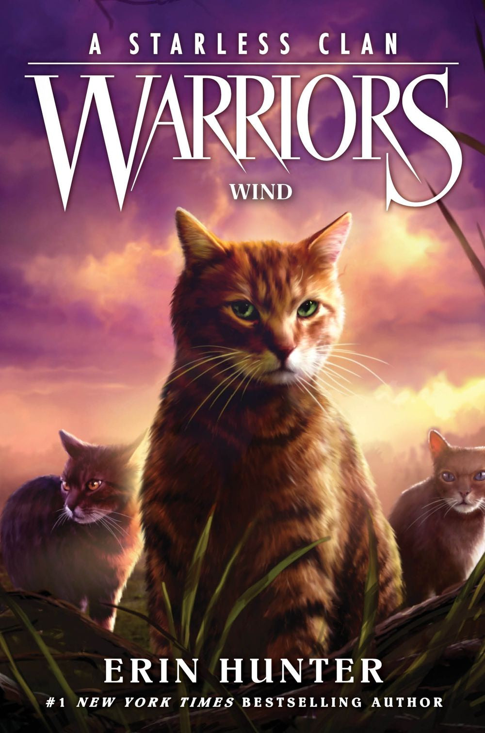 Warriors:  A Starless Clan #5:  Wind