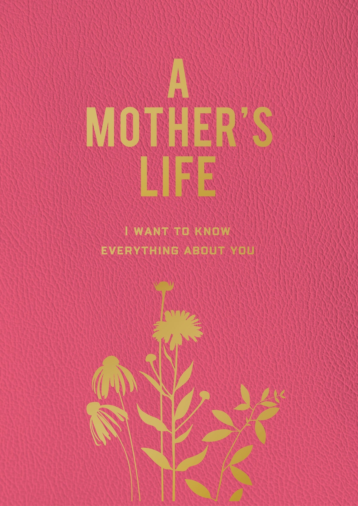 A Mother's Life I Want To Know Everything About You