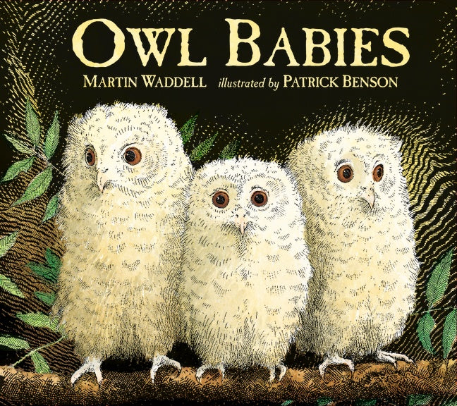 Owl Babies Martin Waddell