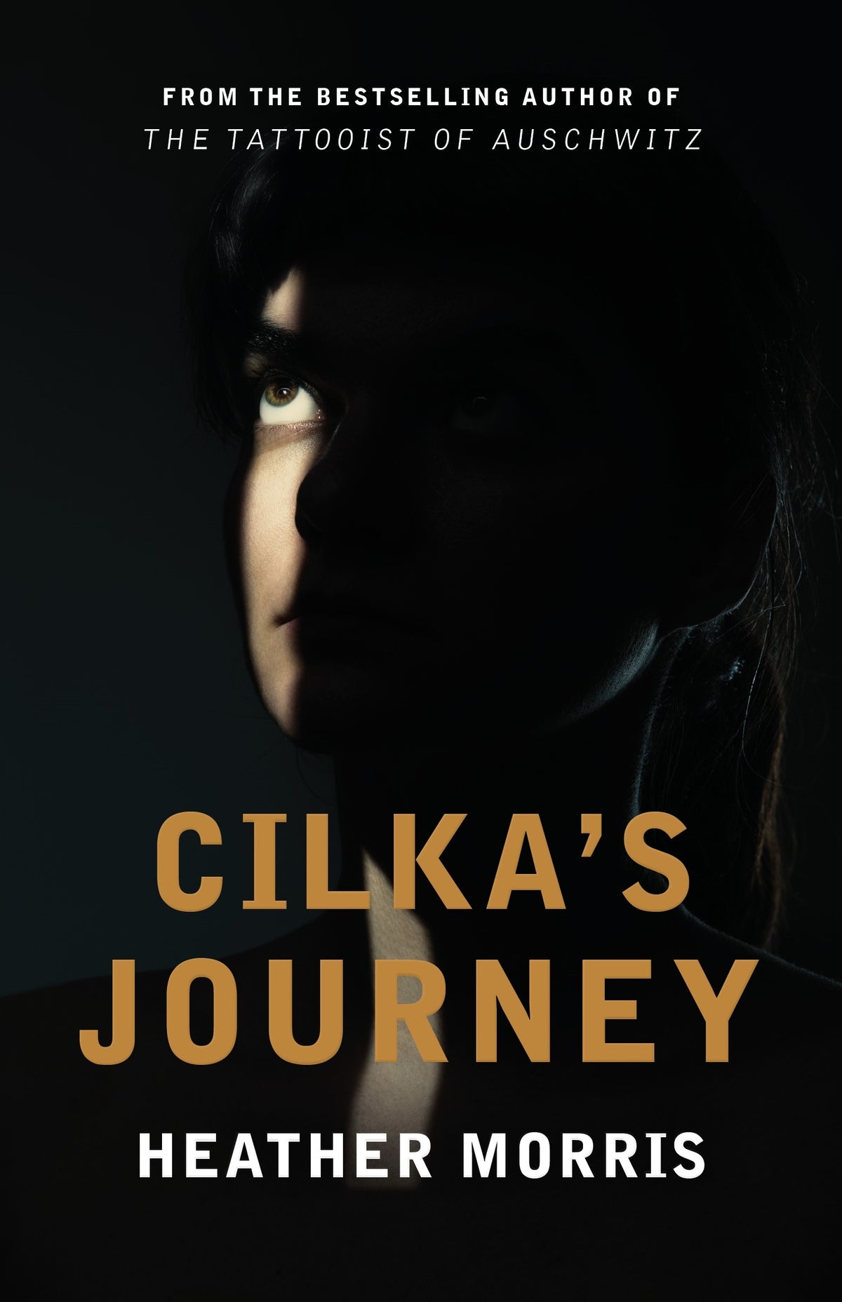 Cilka's Journey (2)