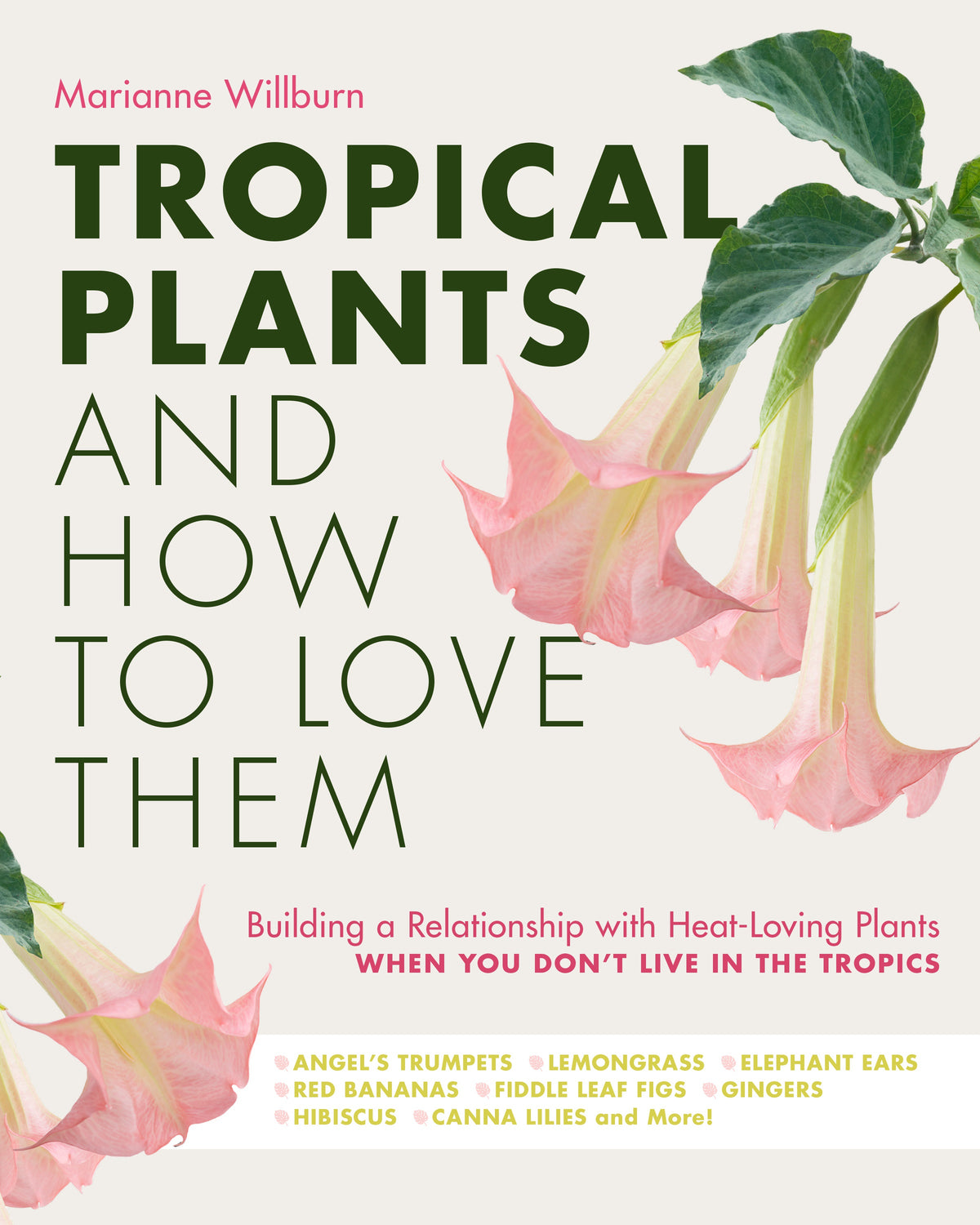 Tropical Plants