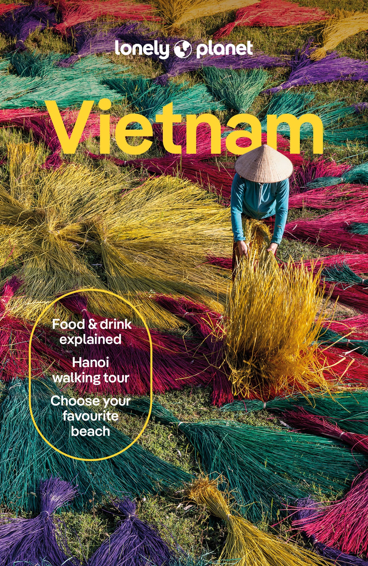Lonely Planet: Vietnam 17th Edition