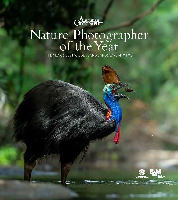 Nature Photographer of the Year 2025 The Year's Best Wildlife And Landscape Photos