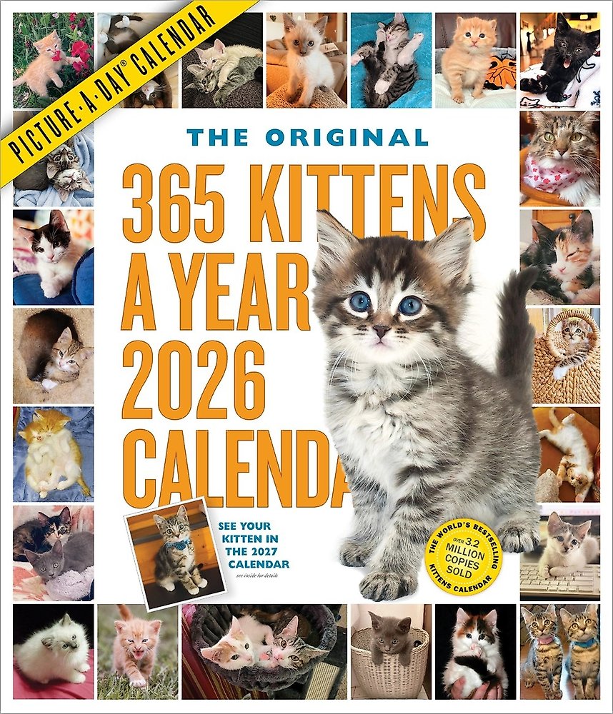 365 Kittens-A-Year Picture-A-Day Wall Calendar 2026