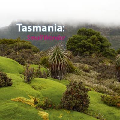 Tasmania Small Wonder