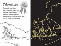 Load image into Gallery viewer, Scratch and Sketch Activity book - Dino Dudes
