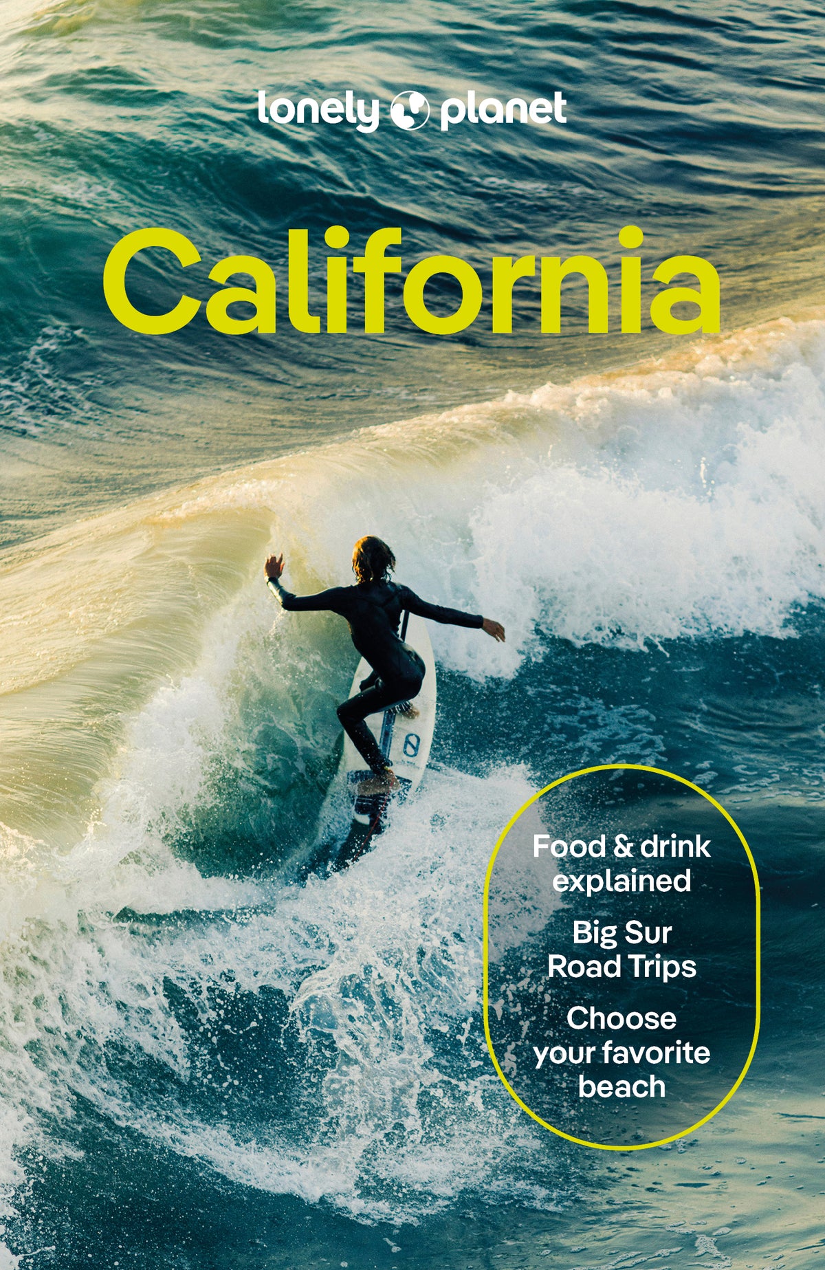 Lonely Planet California 11