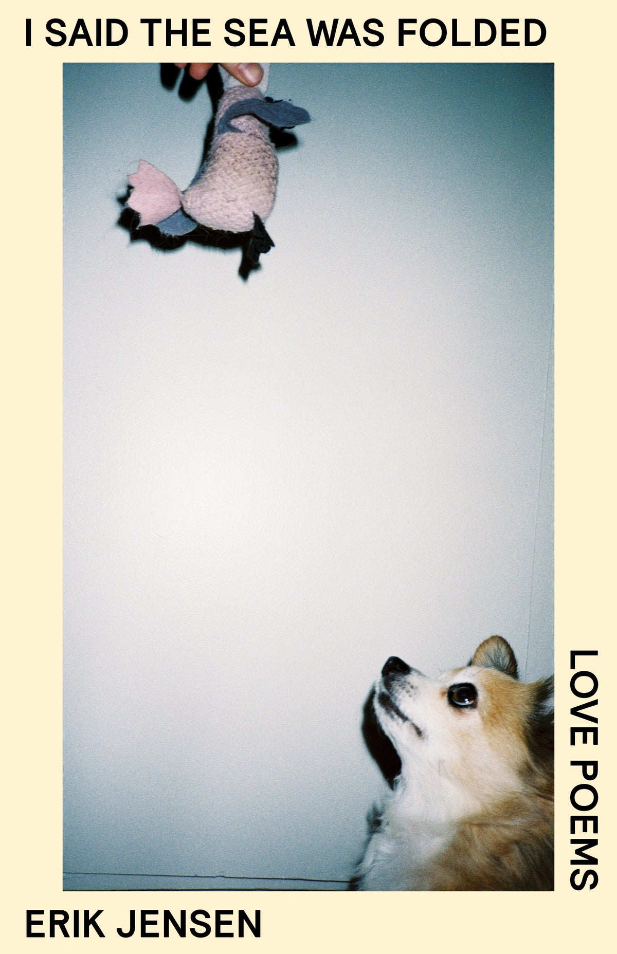 I said the sea was folded: Love Poems
