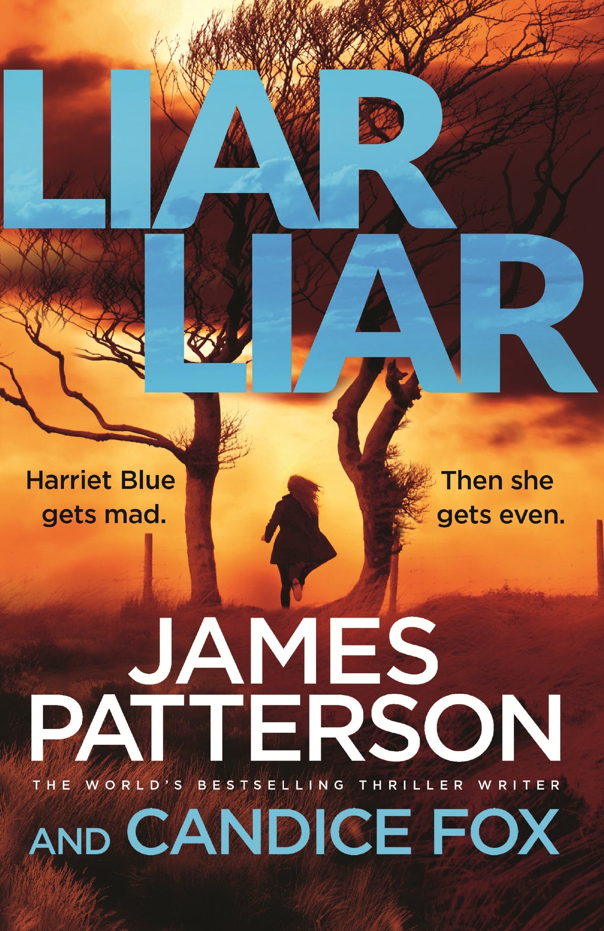 Liar Liar (#3 Harriet Blue)