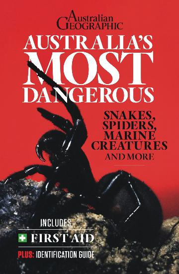 Australia's Most Dangerous Snakes, Spiders, Marine Creatures and more